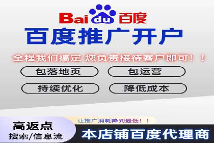 行业领先企业如何通过SEM推广代运营提升业绩